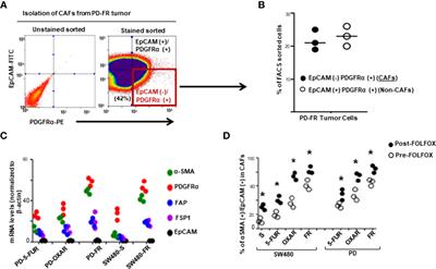 Interplay Between Chemotherapy-Activated Cancer Associated Fibroblasts and Cancer Initiating Cells Expressing CD44v6 Promotes Colon Cancer Resistance